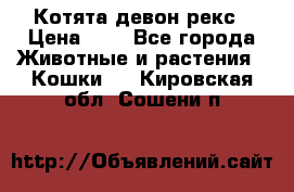 Котята девон рекс › Цена ­ 1 - Все города Животные и растения » Кошки   . Кировская обл.,Сошени п.